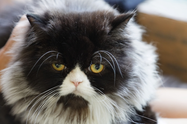 Famille et amis-NOV14-030